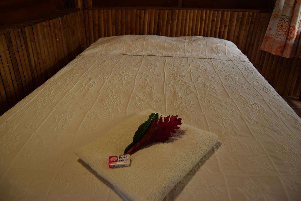 Centro Ecoturistico Cabanas Encantadas Villa Catemaco Eksteriør bilde