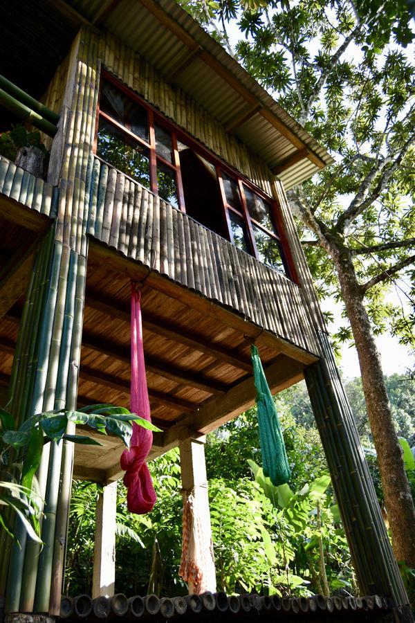 Centro Ecoturistico Cabanas Encantadas Villa Catemaco Eksteriør bilde