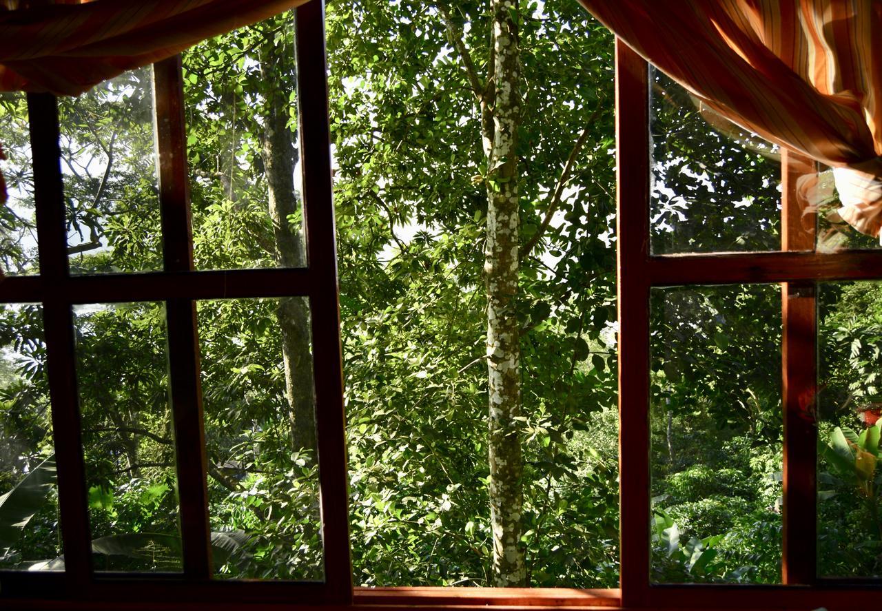 Centro Ecoturistico Cabanas Encantadas Villa Catemaco Eksteriør bilde
